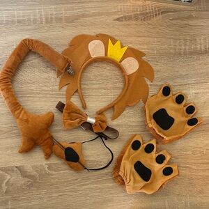 Kids Lion Costume Accessory Set